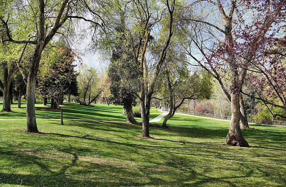 Layton Commons Park on a sunny afternoon